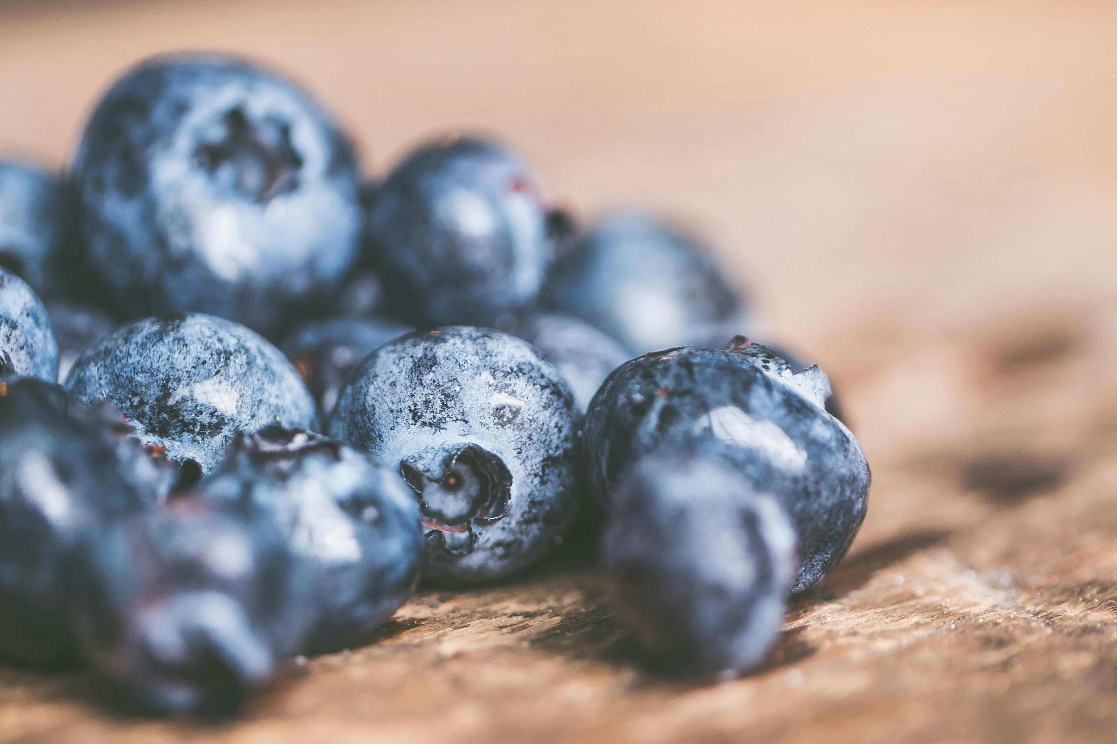 Raw Blueberry Powder-3