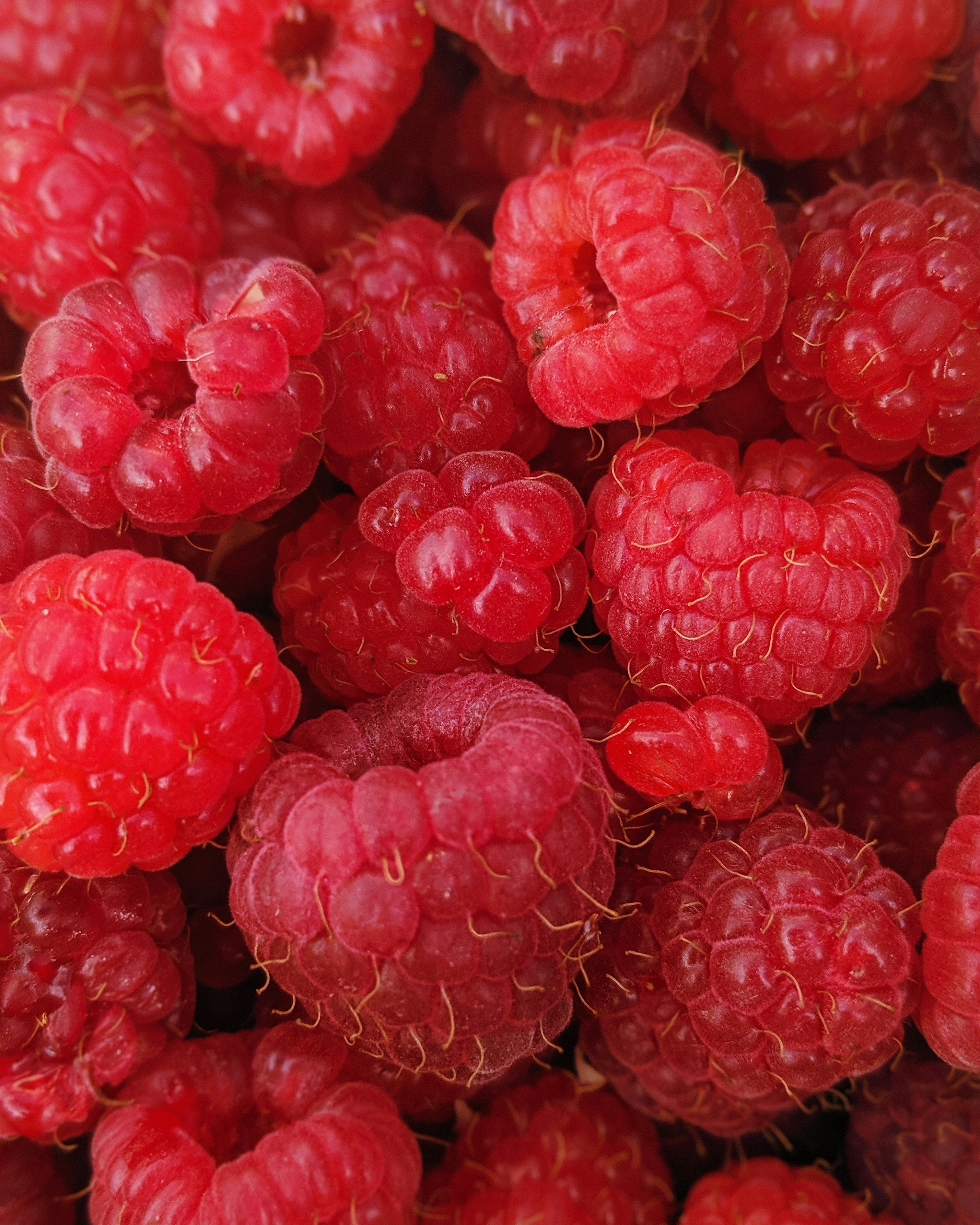 Raspberry Powder-3